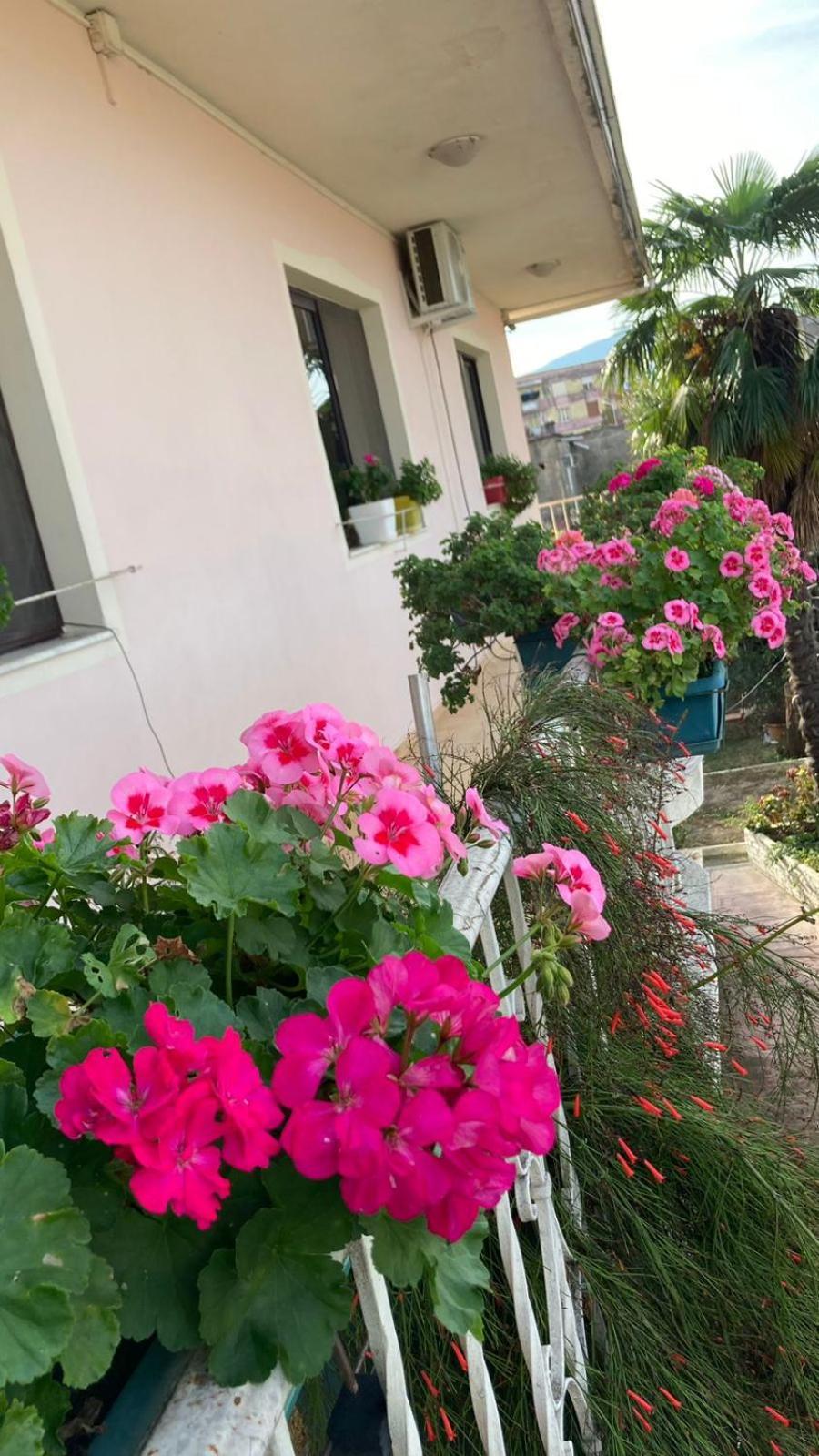 Blissful Hostel Shkoder Exterior photo